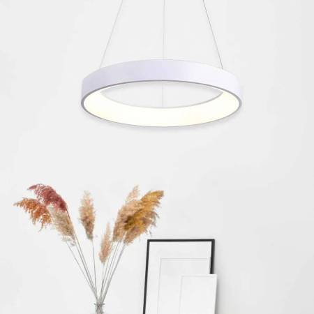 Lampara Circular : Alda Iluminacion: Tienda Iluminacion Barcelona