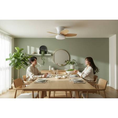 Ventilador-Tienda Lamparas Barcelona-AldaIluminacion