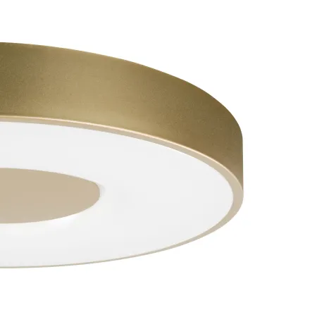 Plafon dorado Coin Mantra detalle 3