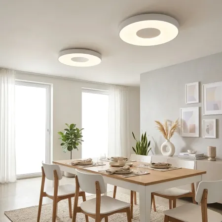 Ambiente coin Plafon Coin blanco Comedor
