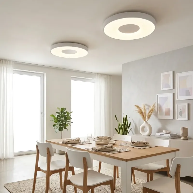 Ambiente coin Plafon Coin blanco Comedor